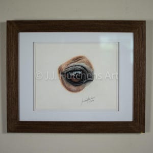 Original Horse Eye Drawing – Realistic 8x10 Colored Pencil on Pastelmat – Equestrian Fine Art by J.J. Hutchens
