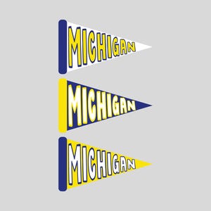 Michigan Flag Wall Print