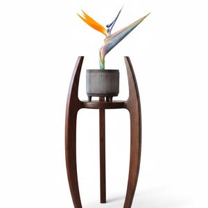 May include: A Bird of Paradise plant in a gray ceramic pot sits on a dark brown wooden plant stand. The stand has a three-legged base and a curved, open design. The flower has orange, blue, and green petals.