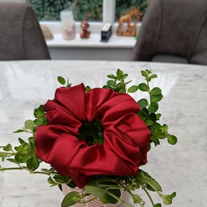 May include: A deep red satin scrunchie, presented in a small pink and white patterned pot, encircled by fresh green foliage. The scrunchie is the central element, providing a burst of colour and texture to the arrangement.