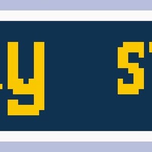 Puede incluir: Un gráfico rectangular con las palabras "stay salty" en amarillo, fuente pixelada, repetidas dos veces sobre un fondo azul oscuro. El gráfico tiene un borde blanco y un fondo azul claro.