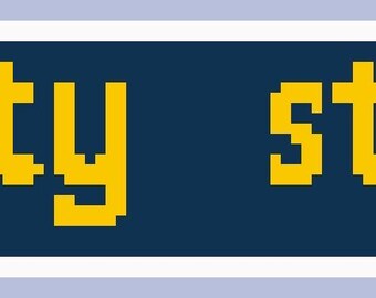 Gráfico de tela para bordado "Stay Salty" | Design de chaveiro para iniciantes