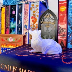 Może przedstawiać: Biała figurka lisa z motylem na nosie, spoczywająca na książce. Książka ma tytuł "Callie Hart" na okładce. W tle dekoracyjne witraże i kolekcja kolorowych książek.
