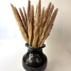 May include: A dark, glossy, rounded ceramic vase with a flared rim, containing a cluster of tall, feathery, light brown pampas grass plumes. The vase features a deep, mottled black and dark blue glaze with subtle variations in color and texture.