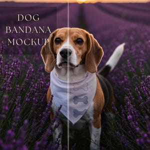 Dog Bandana Mockup | Pet Bandana Design | Puppy Bandana Mockup | Dog Collar Mockup | Dog Bandana |Dog Scarf Mockup |300 DPI HQ PNG Mockup
