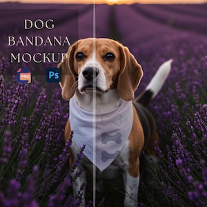 May include: A beagle wearing a white triangular dog bandana featuring a vertical row of three grey bone-shaped icons. The image includes text that reads DOG BANDANA MOCKUP, along with PNG and Ps icons, overlaid on a field of purple lavender flowers.