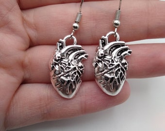 Silver Anatomical Heart Earrings
