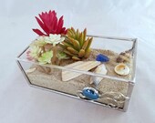 DIY Terrarium kit in stained glass box create your own