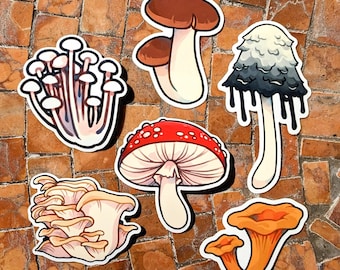 May include: A collection of six colorful mushroom stickers. The stickers feature various mushroom types, including a red and white spotted mushroom, a brown mushroom, and a cluster of white mushrooms. The stickers are set against a brick background.