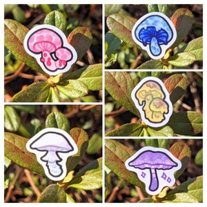 Pack de mini autocollants champignon (pêche ridée/ange destructeur/bouchon de lait indigo/taureau vénéneux des perroquets/bonnet lilas) brillant, imperméable, vinyle, champignons