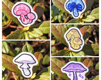 Mini Mushroom Sticker Pack (Wrinkly Peach/Destroying Angel/Indigo Milk Cap/Parrots Toadstool/Lilac Bonnet) Glossy, Waterproof, Vinyl, Fungi