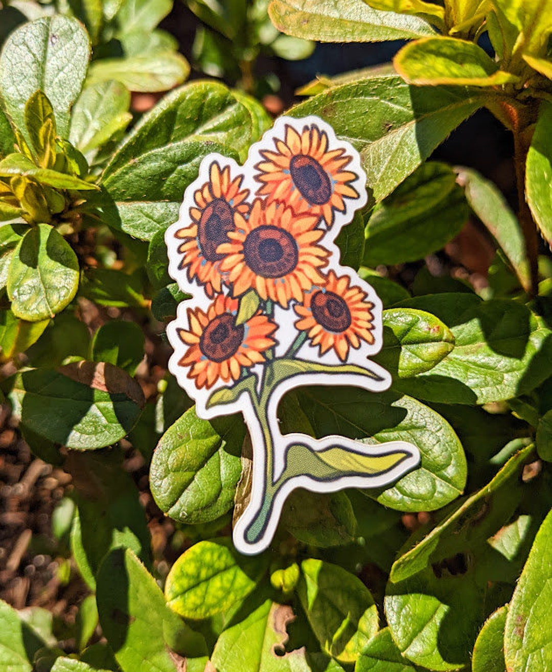 Sunflower Sticker - Aesthetic Summer Floral Vinyl Waterproof Sticker - Etsy