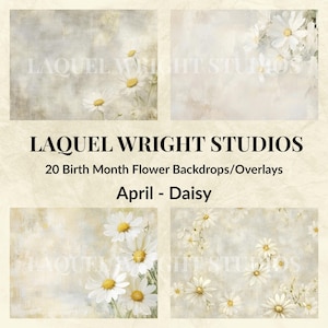 Daisy Floral Digital Backgrounds: April Birth Month, Photography Overlay (JPG Download 8000x6026px)