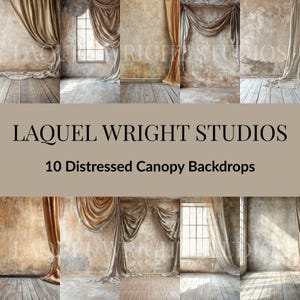 Old Masters Canopy Digital Backdrop: Fine Art Photography Overlay
