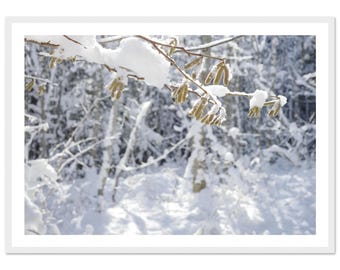 Winter Mountain Macro Photography Poster: Framed Pine Wood Art