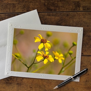 Tarjetas fotográficas individuales en blanco con fotos de plantas y flores en primer plano: recuerdos duraderos con fotografías originales en cartulina fina