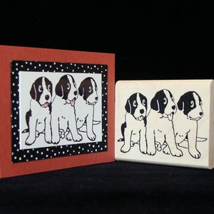 three puppies