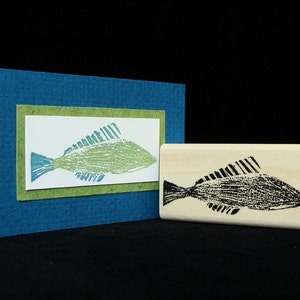 fish no.1