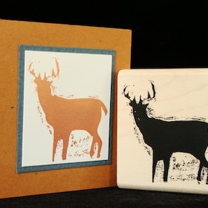 deer