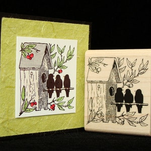 birdhouse with black birds