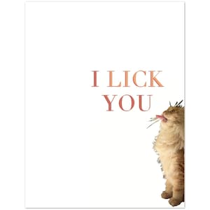 I like you-pakket met 10 wenskaarten (VS en CA)