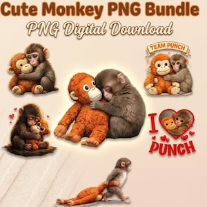 Monkey PNG Bundle, Emotional Hugging Graphics (Digital Download)
