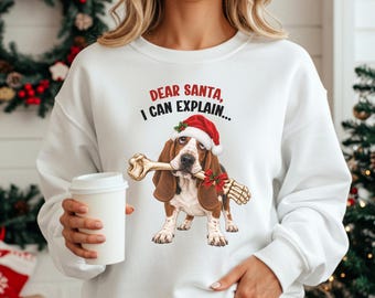 Felpa natalizia con bassotto, divertente maglietta "Caro Babbo Natale" con cane, idea regalo