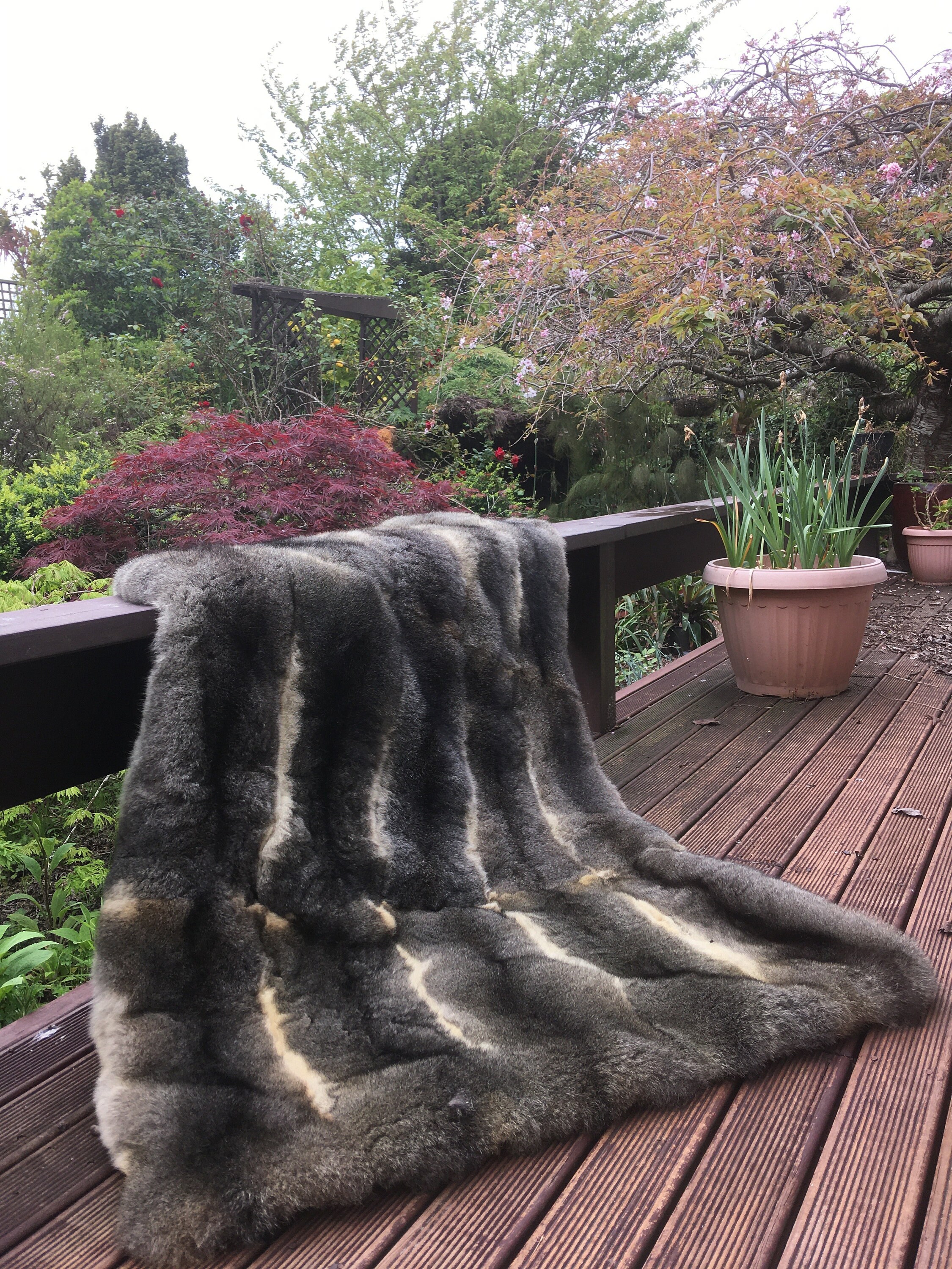 New Zealand Possum Natural Grey Fur Lap Rug / Blanket / Throw Etsy