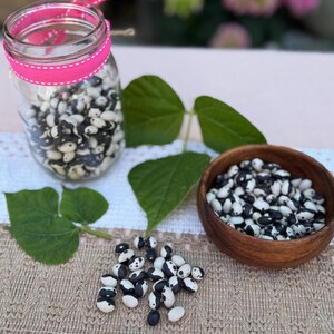 May include: A clear glass jar filled with black and white beans, adorned with a pink ribbon. A wooden bowl also contains the beans, with some scattered on a textured beige surface. Green leaves and pink flowers are in the background.