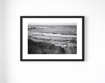Elephant Seal Framed Print – Black and White California Coastal Wildlife Photography