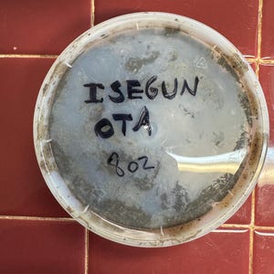 Könnte beinhalten: Ein klarer Kunststoffbehälterdeckel mit dem handgeschriebenen Text "ISEGUN OTA 8 oz". Der Deckel hat eine kreisförmige Form und ist teilweise mit einer dunklen, gesprenkelten Substanz bedeckt. Der Hintergrund ist eine rotbraune Fliesenoberfläche.