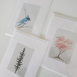 May include: Four framed watercolour art prints. One depicts a blue jay on a branch, another a tall evergreen tree, and a third a pink flowering tree. All are matted in white.