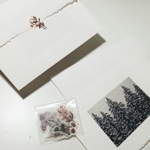 Jeu de cartes d'art, 5 x 7 po., cartes de voeux, jeu de cartes de Noël, art de la Colombie-Britannique, impression de forêt d'arbres à feuilles persistantes, carte vierge - carte nature 5 x 7