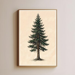 Peut inclure: Une impression d'art mural rectangulaire verticale présentant une illustration botanique détaillée d'un seul conifère à feuilles persistantes. L'arbre a des aiguilles vert foncé et un tronc brun texturé, centré sur un fond beige clair.