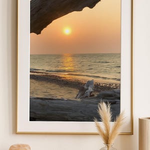 Beach Sunset Wall Art Print – Coastal Driftwood Photography for Home Decor | Warm Sunset Ocean Poster | Nature Landscape Art for Living Room
