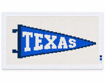 Texas Needlepoint Canvas,  13 Mesh State Pennant, Hand Painted