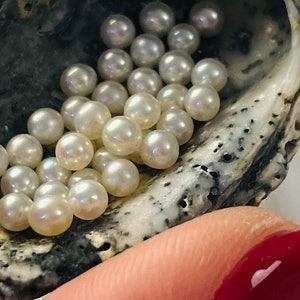 Lot of 20 Loose Natural 3-3.5mm Undrilled Akoya Pearls High Luster