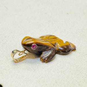 May include: A frog pendant carved from tiger's eye gemstone. The frog has a gold bail and a small, round, red gemstone eye. The pendant is brown and gold with a polished finish.