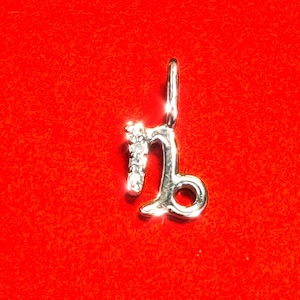 14K White Gold and Diamond Zodiac Astrology  Small Charm Capricorn January December Pendant