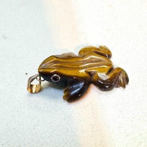 May include: A frog pendant carved from tiger's eye gemstone. The pendant features a detailed frog design with a small, round, red gemstone eye and a gold-colored bail for attaching to a chain.