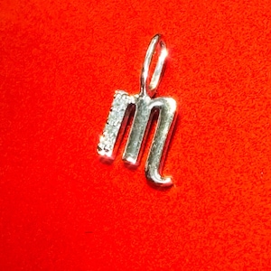 14K White Gold and Diamond Zodiac Astrology  Small Charm Scorpio October November Pendant