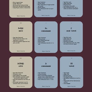 Beginner French Vocab - Family