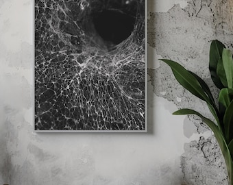 Spiderweb Canvas Print: Gothic Black and White Nature Photography