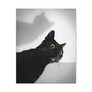 Black Cat Original Photography, Bright Cat Eyes, Canvas Print, Black and White, Wall Decor, Wall Art, Cat Lover, Gift For Her, Halloween