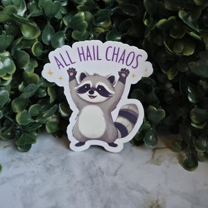 Chaotic Raccoon Vinyl Sticker: Funny Trash Panda Decal