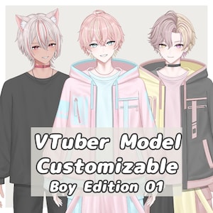 Modelo VTuber – Edición Boy Personalizable 01