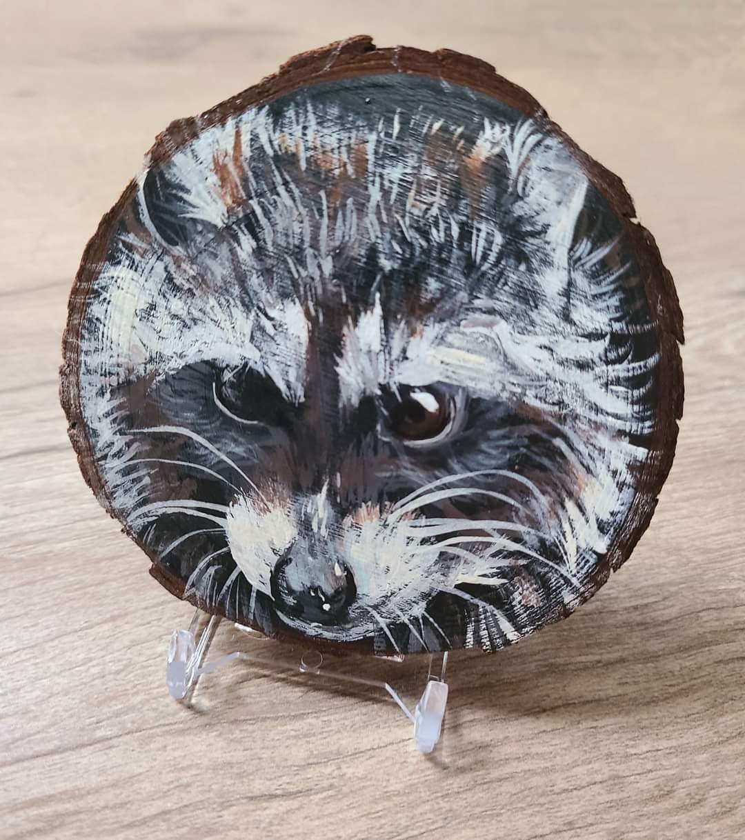 Rustic Original Acrylic Raccoon Painting on Wood Slice With Plastic ...