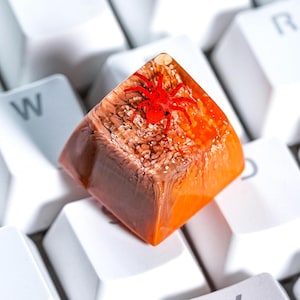 Könnte beinhalten: Eine individuelle Artisan-Tastenkappe mit einem roten Spinnenmuster in Kunstharz. Die Tastenkappe hat einen Braun- zu Orange-Farbverlauf und befindet sich auf weißen Tastaturtasten. Diese dekorative Tastenkappe soll das Aussehen einer mechanischen Tastatur verbessern.