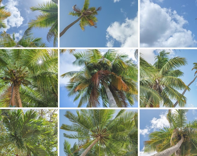Featured listing image: Peace, photography collage by artist Elle Claire
