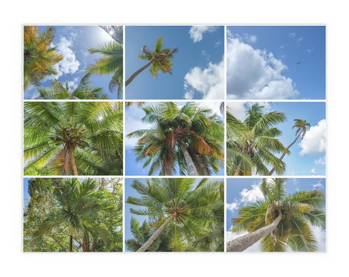 Featured listing image: Peace, fine art photography collage by artist Elle Claire, Tropical Silk Poster, Palm Tree Wall Art, Indoor Outdoor, Summer Decor, Beachy